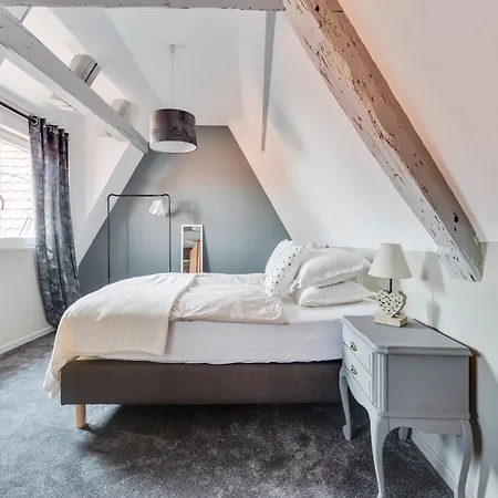 In Alsace Near Haut-koenigsbourg, Cleaning Included Apartmán