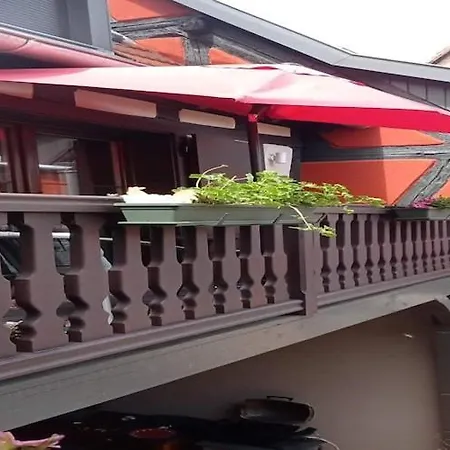 In Alsace Near Haut-koenigsbourg, Cleaning Included Dambach
