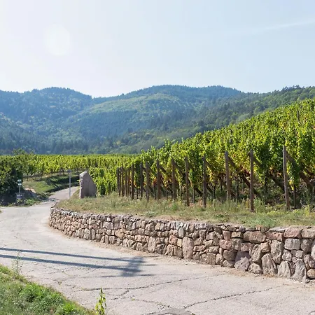 Apartmán In Alsace Near Haut-koenigsbourg, Cleaning Included *
