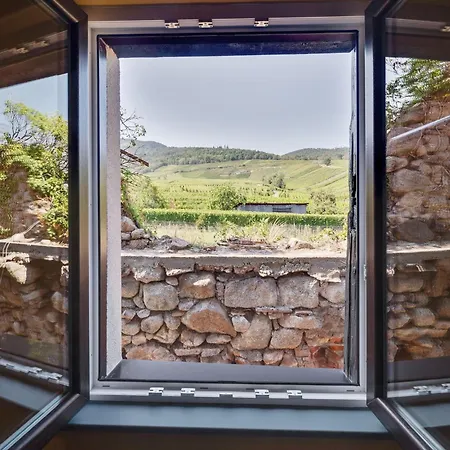 Apartmán In Alsace Near Haut-koenigsbourg, Cleaning Included Dambach