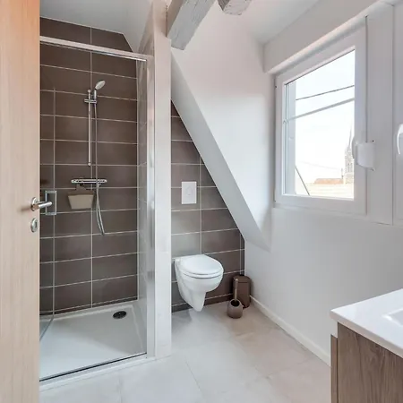 Apartmán In Alsace Near Haut-koenigsbourg, Cleaning Included Dambach