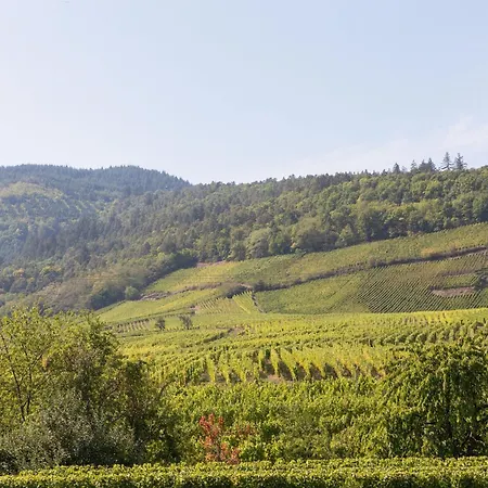 In Alsace Near Haut-koenigsbourg, Cleaning Included *